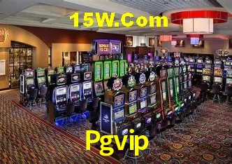 Experiência VIP Pgvip