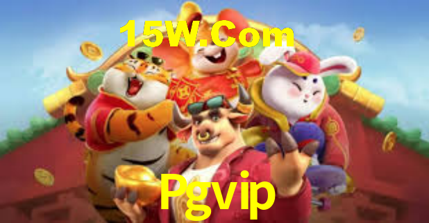 Premium Interface Pgvip